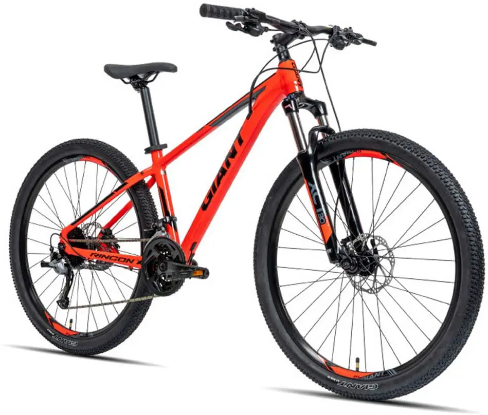 fat tire mountain bike 2021