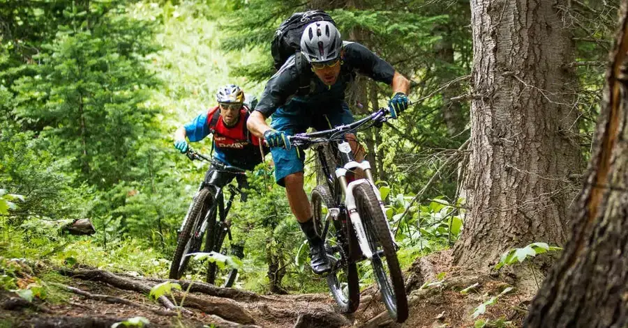 mountain bike brands